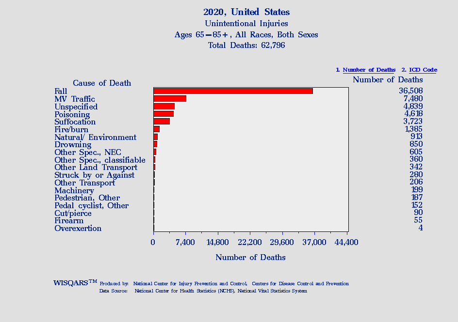 Recent CDC Chart Showing Cause of Death In Seniors and Elderly