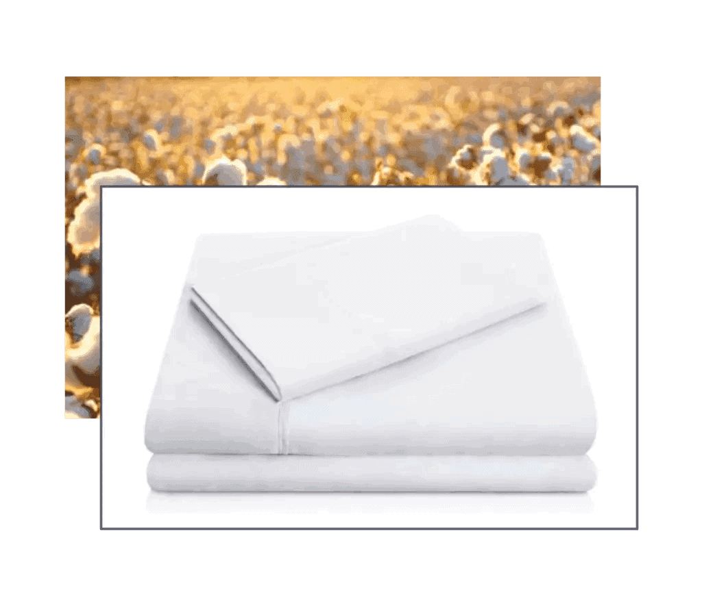 Organic Cotton Sheet Set