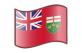 The black background compliments the Toronto flag as it waves proudly, creating a striking visual display.