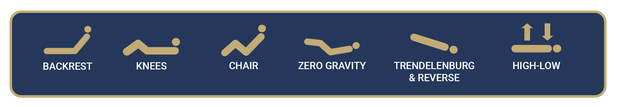 Icons depicting six positions of a hospital bed: backrest, knees, chair, zero gravity, Trendelenburg and reverse Trendelenburg, with high-low adjustment.