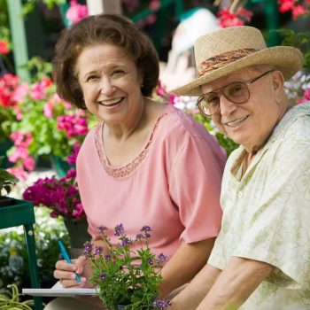 a man and a woman sitting next to each other in a garden. a man and a woman sitting next to each other in a garden.