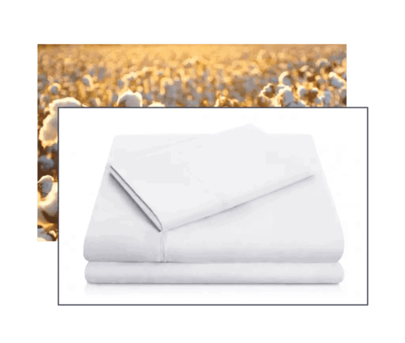 a white sheet set with a field of cotton in the background.